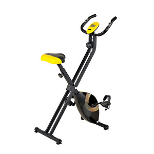 Exercise Bike MEB1241